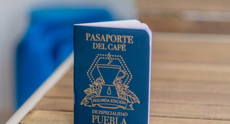 Passaporto e documenti per la domanda di visto su una scrivania
